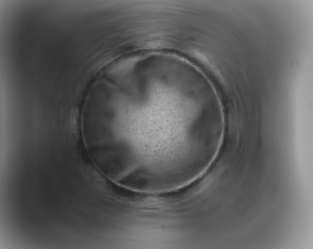 X0000089711265200707051655