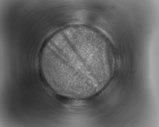 X0000089711266200707051655