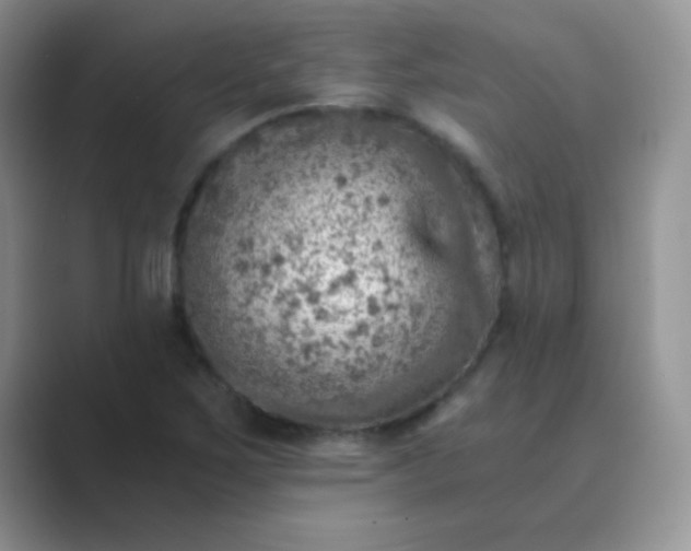 X0000089711267200707051655