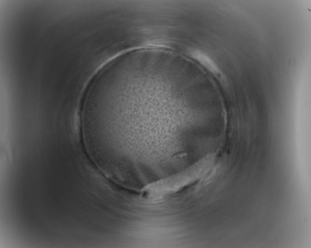 X0000089711268200707051655