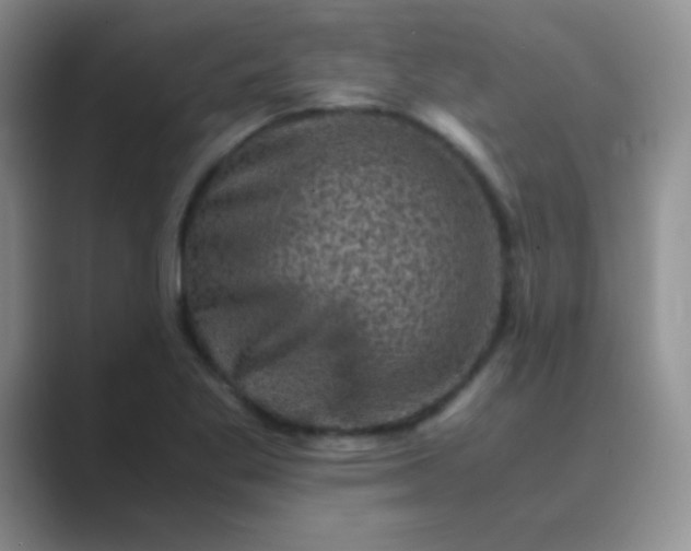 X0000089711269200707051655