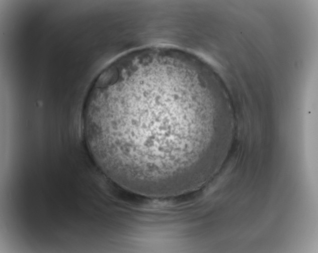 X0000089711271200707051655