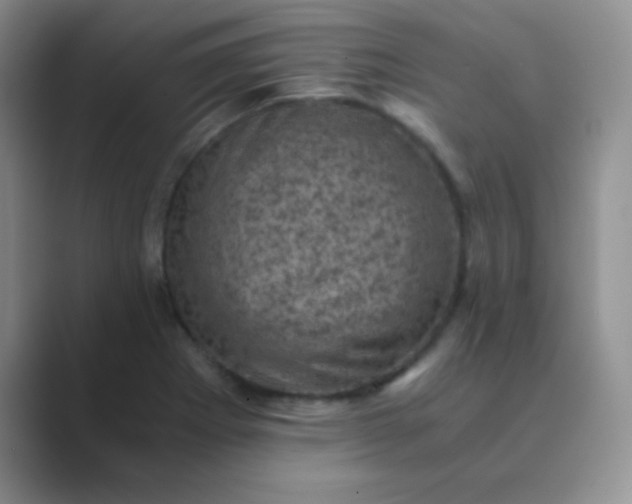 X0000089711273200707051655