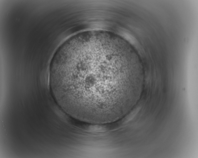 X0000089711275200707051655