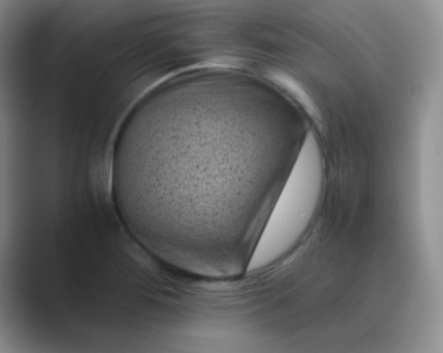 X0000089711276200707051655