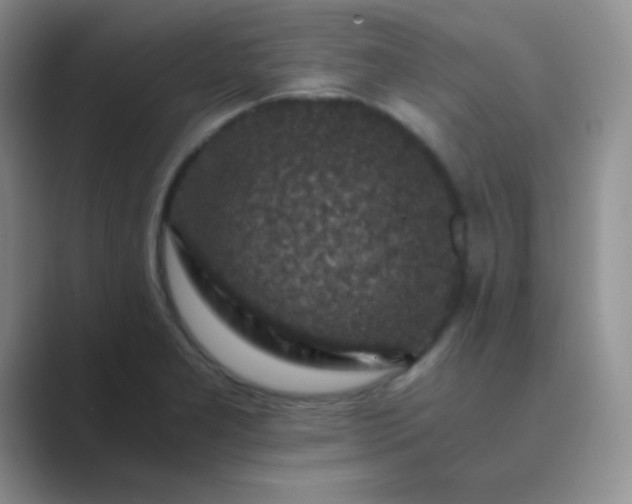 X0000089711277200707051655