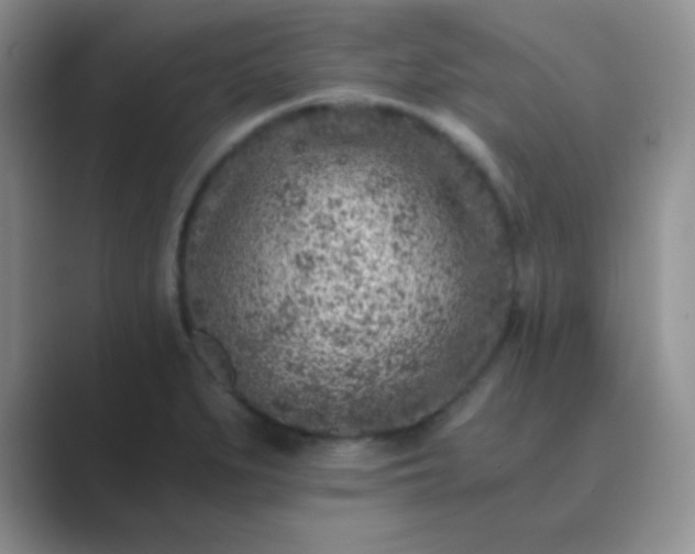 X0000089711279200707051655