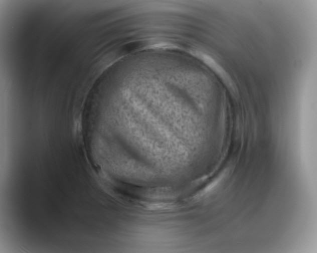 X0000089711281200707051655