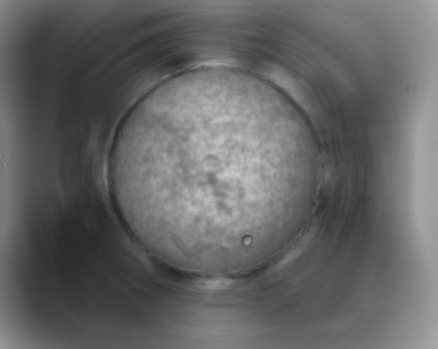 X0000089711282200707051655