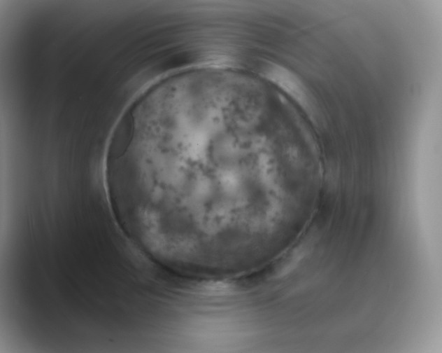 X0000089711283200707051655