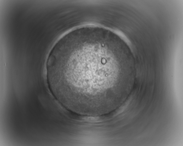 X0000089711287200707051655