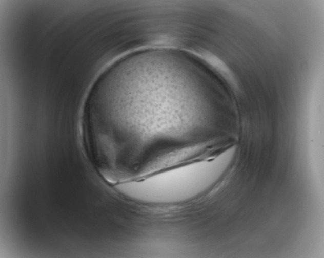 X0000089711288200707051655