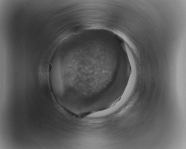 X0000089711289200707051655