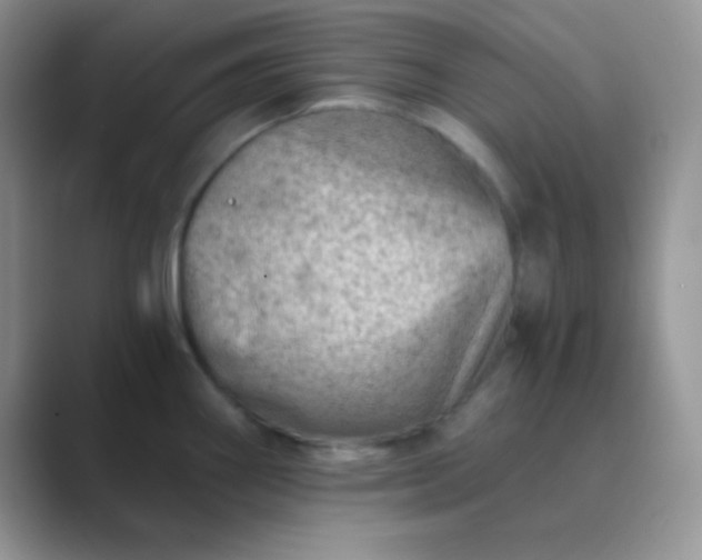 X0000089711290200707051655