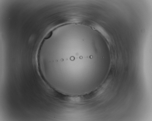 X0000089711291200707051655