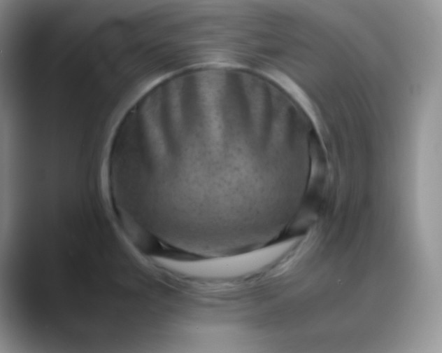 X0000089711293200707051655