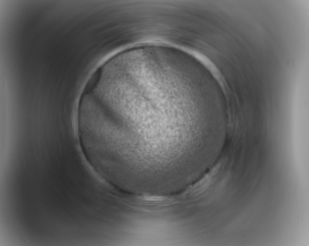 X0000089711295200707051655