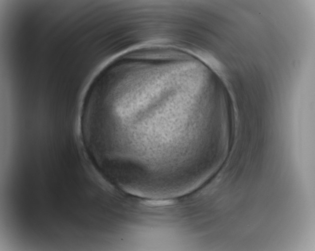 X0000089711296200707051655