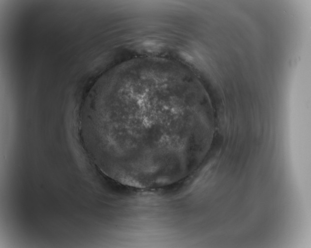 X0000089711297200707051654