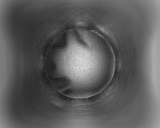 X0000089711301200707051654