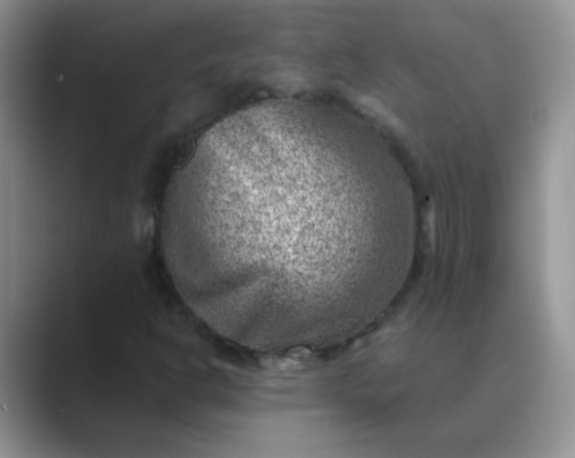 X0000089711302200707051654