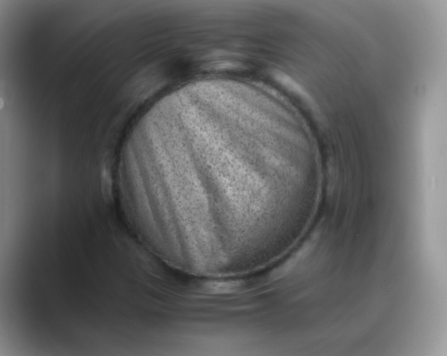 X0000089711305200707051654