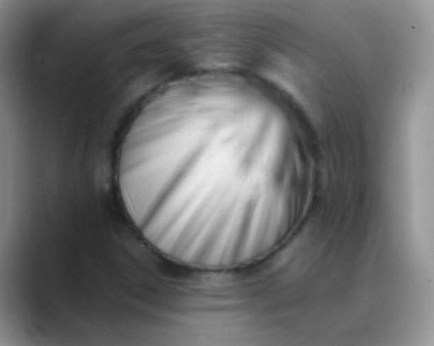 X0000089711306200707051654