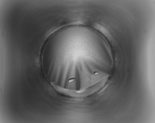 X0000089711308200707051654