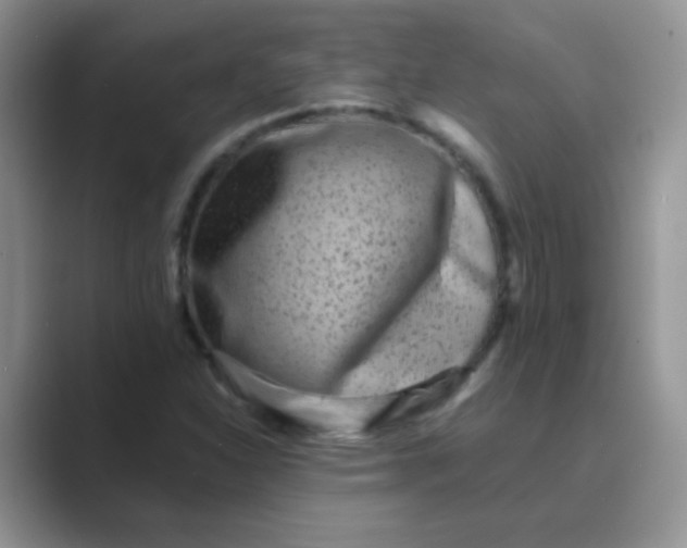 X0000089711310200707051654