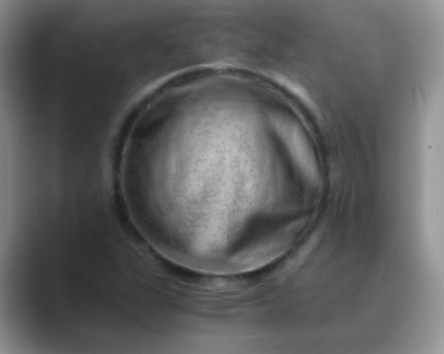 X0000089711311200707051654