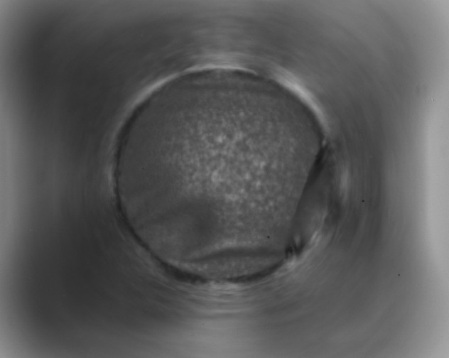 X0000089711312200707051654