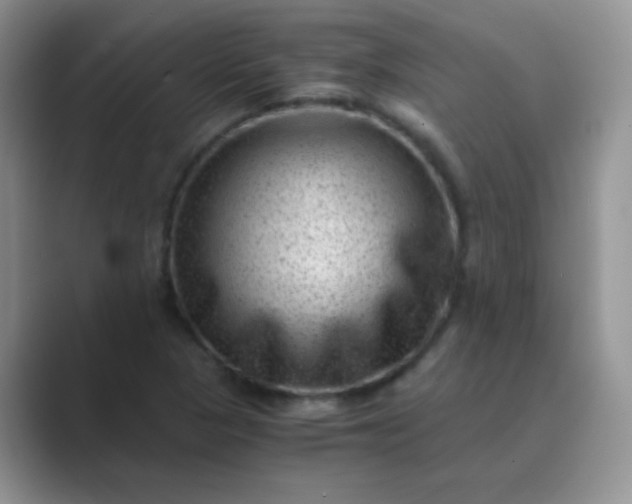 X0000089711313200707051654