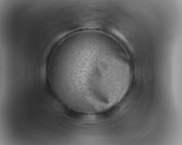 X0000089711315200707051654