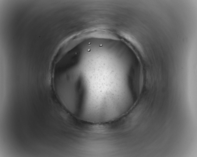 X0000089711316200707051654