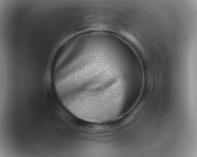 X0000089711318200707051654