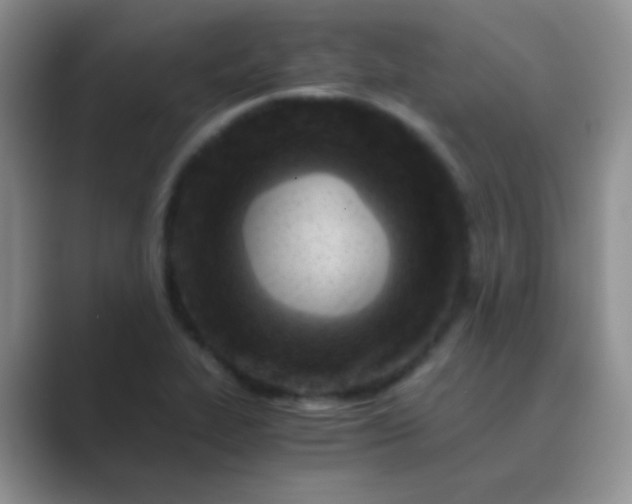 X0000089711319200707051654