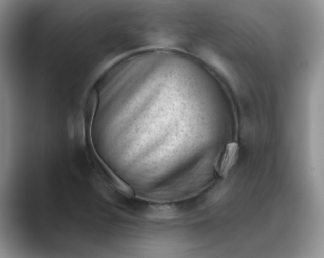 X0000089711320200707051654