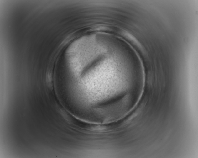 X0000089711321200707051654