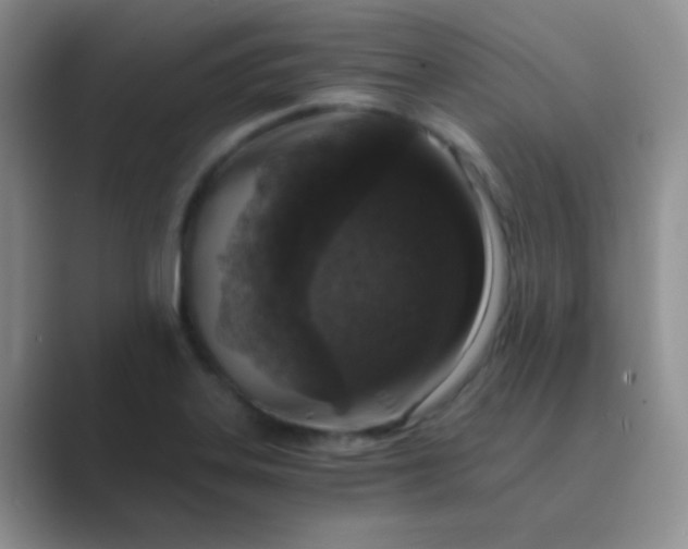 X0000089711323200707051654