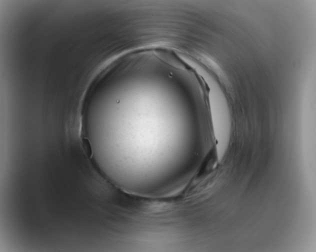 X0000089711324200707051654