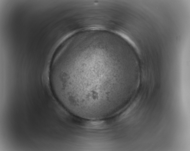 X0000089711325200707051654