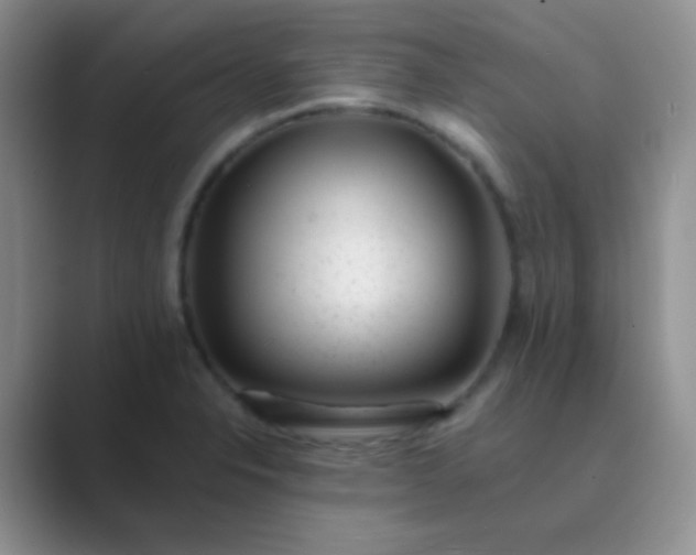 X0000089711326200707051654