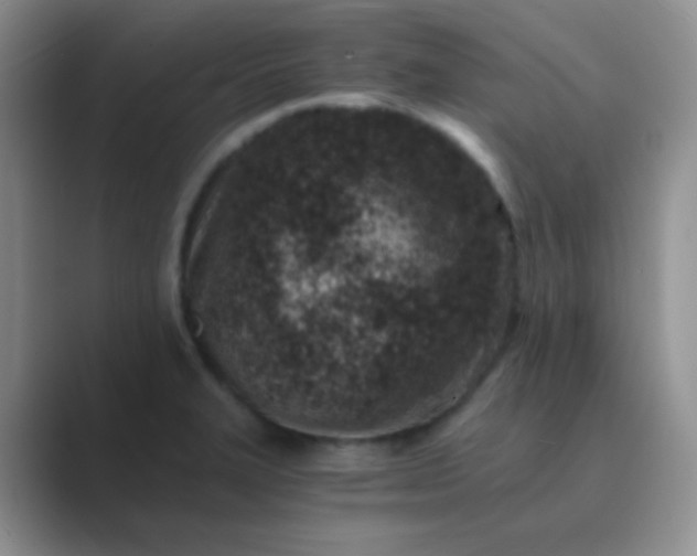 X0000089711327200707051654