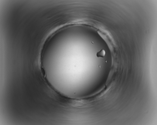 X0000089711328200707051654