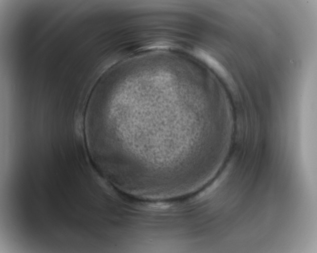 X0000089711329200707051654