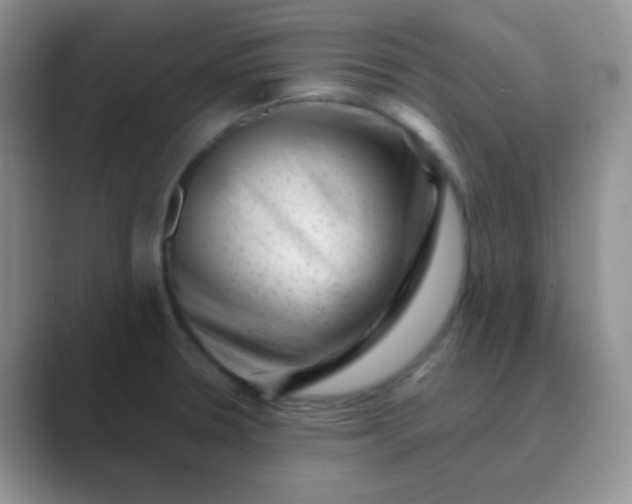 X0000089711330200707051654