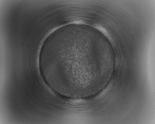 X0000089711331200707051654