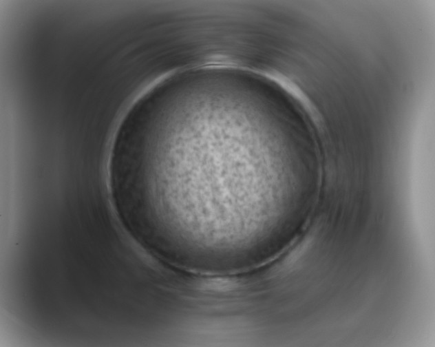 X0000089711333200707051654