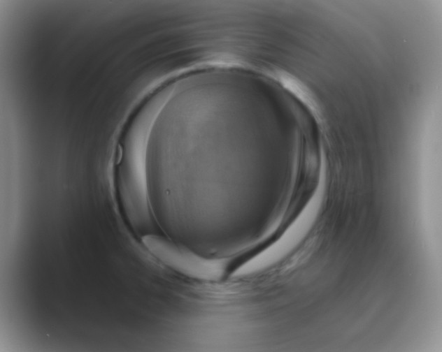 X0000089711334200707051654