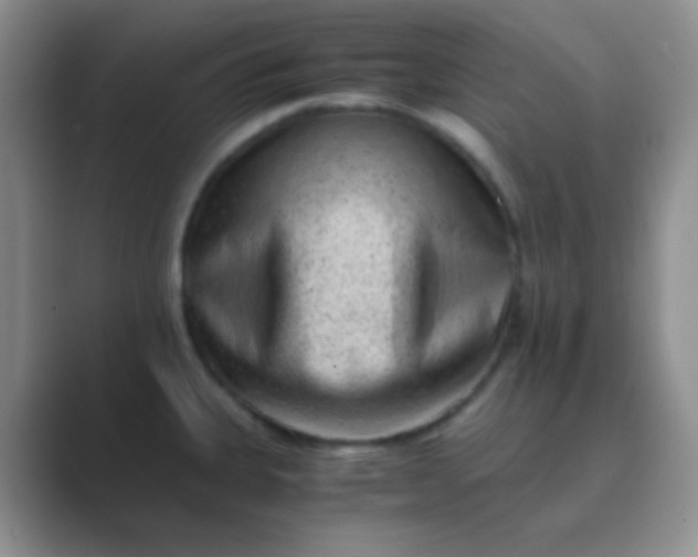 X0000089711335200707051655